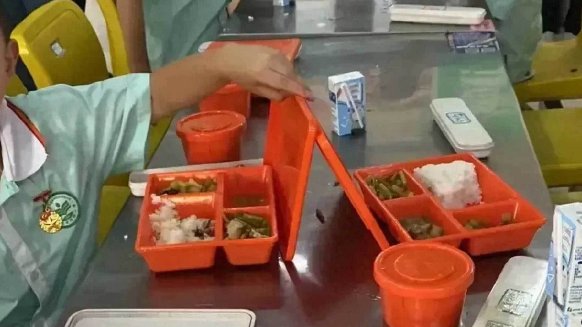 集体
