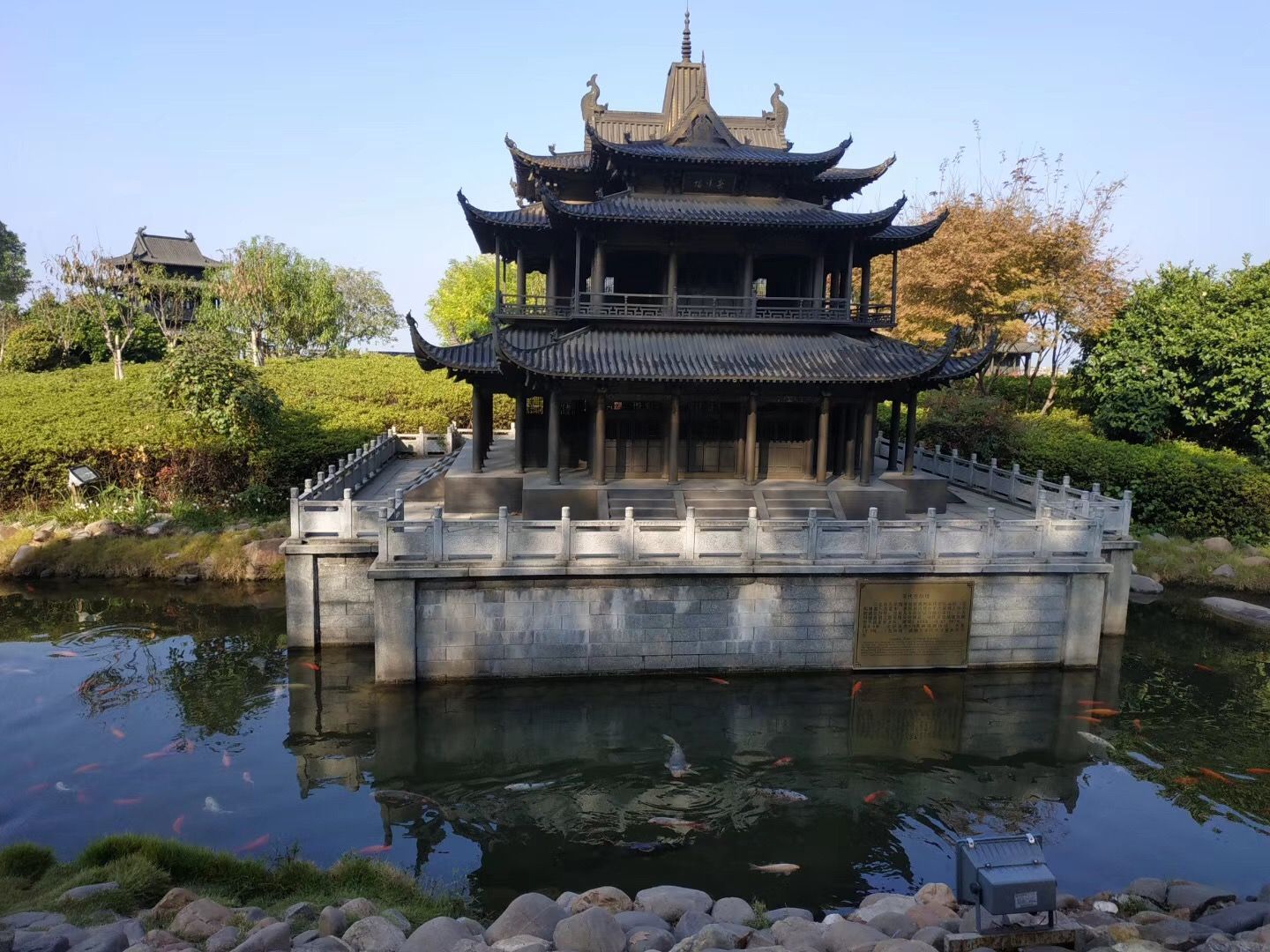 陈志伟