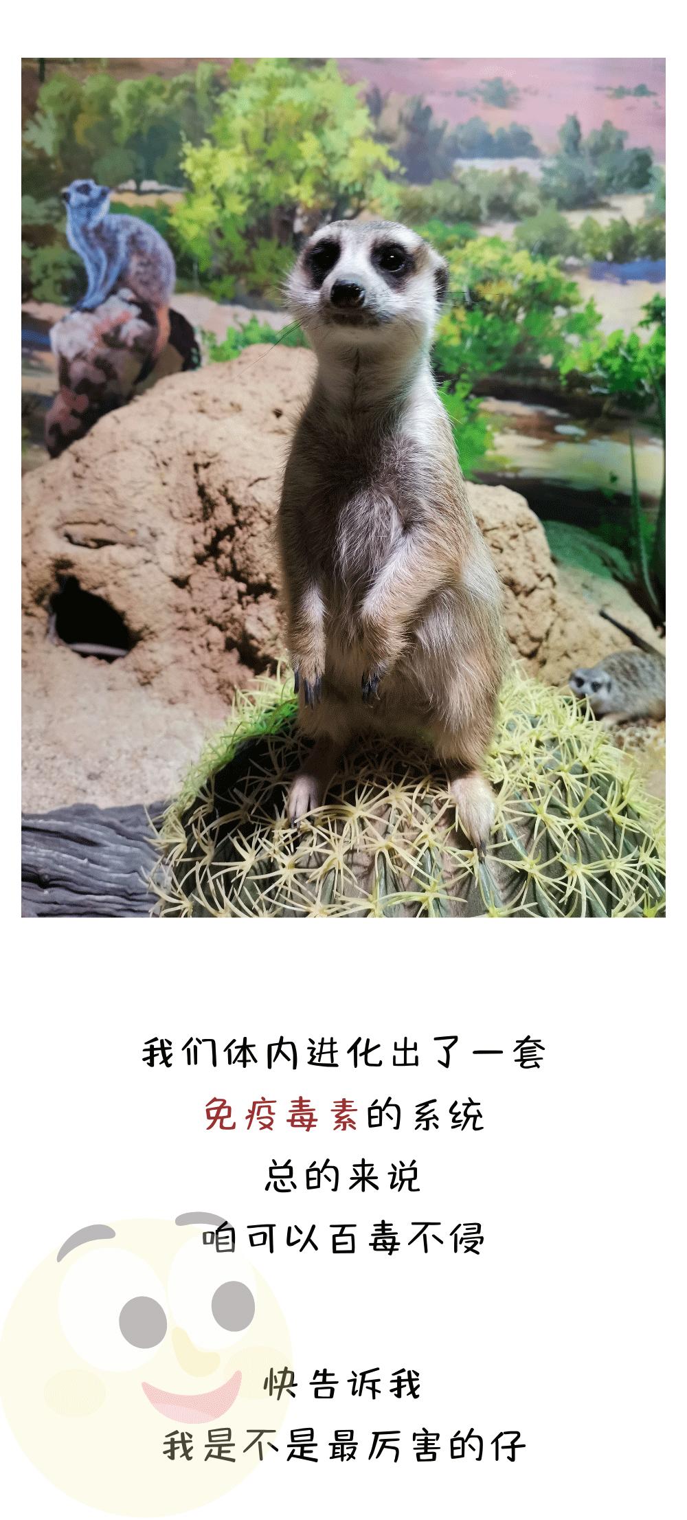 狐大医 值得信赖的健康顾问和医疗信息提供者 (狐大夫液体敷料怎么样)