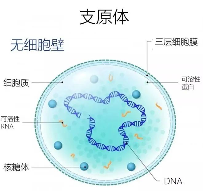 防护