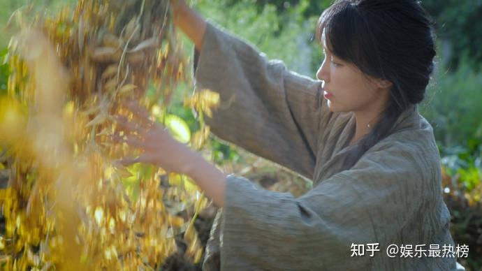 李子柒的得与失 停更1217天 (解读李子柒)