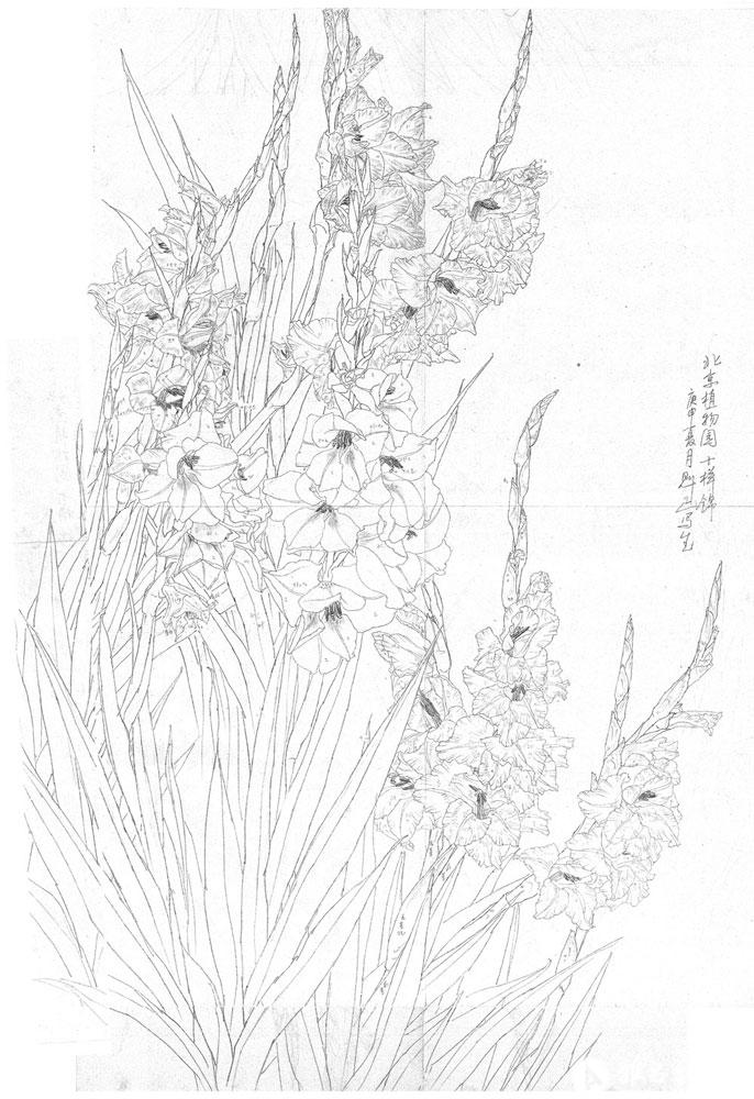 拾锦