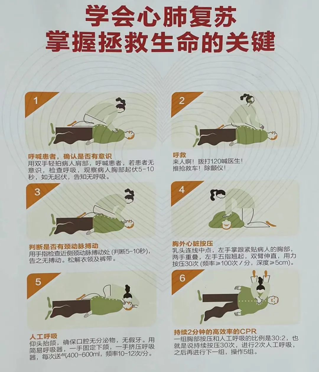 冠状动脉
