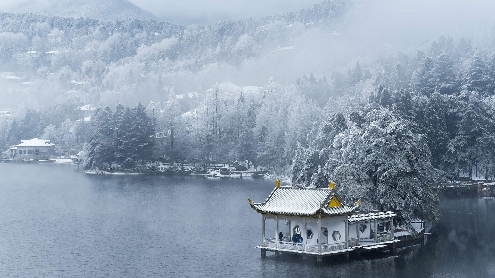 专病