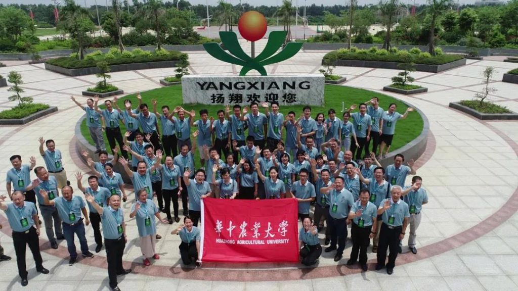 企业需要将研发重点转移到应用端