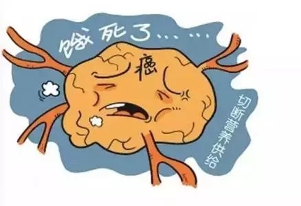 绍尔