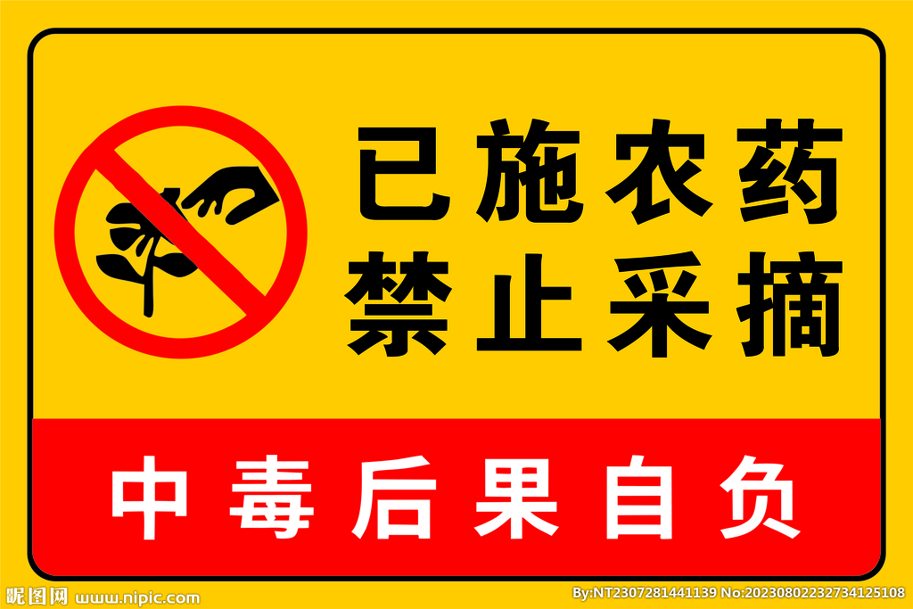 鹅膏