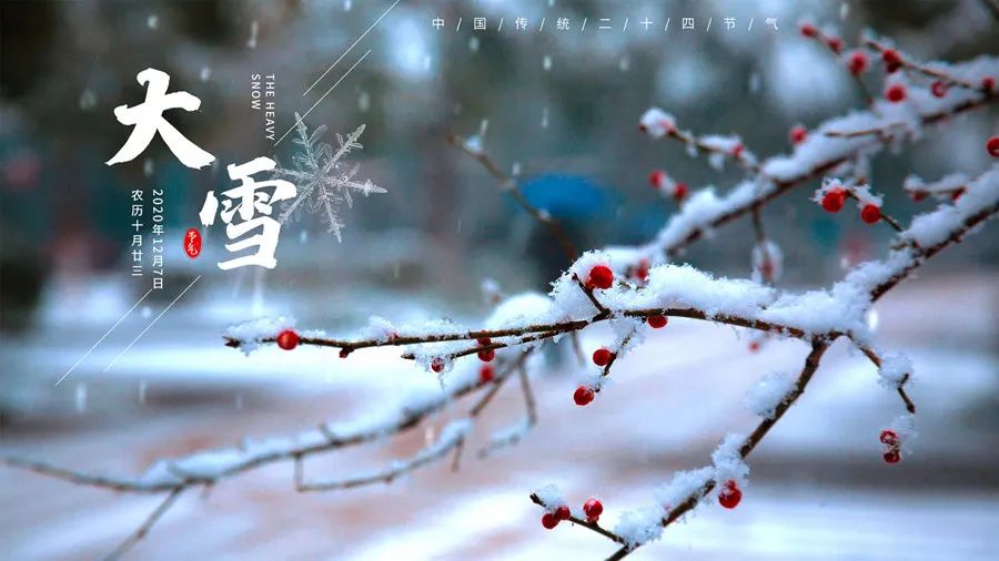 大雪节气食养指南 滋补温润 安度严寒 (大雪节气食补)