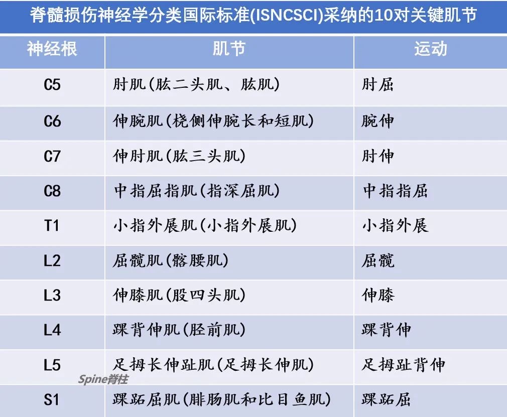 这10个关键词助力备孕夫妻获得一个健康的宝宝 (十个关键)
