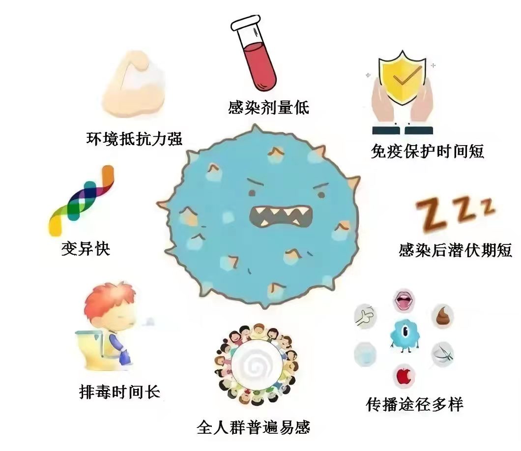 诺如病毒来袭！科学防控指南助你安心过冬 (诺如病毒来袭,该如何应对)