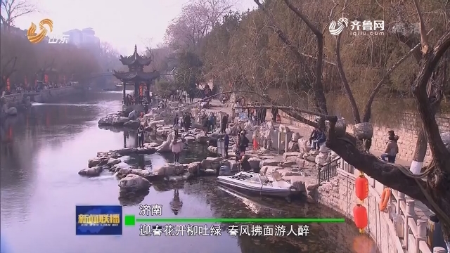 感受人勤春来早的暖意 早早相约贵州早茶 (人勤春来早的文章)