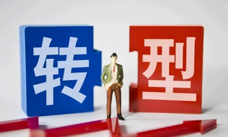转型成效不达标的原因