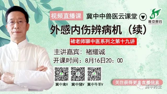 内优外患的意思解释一下