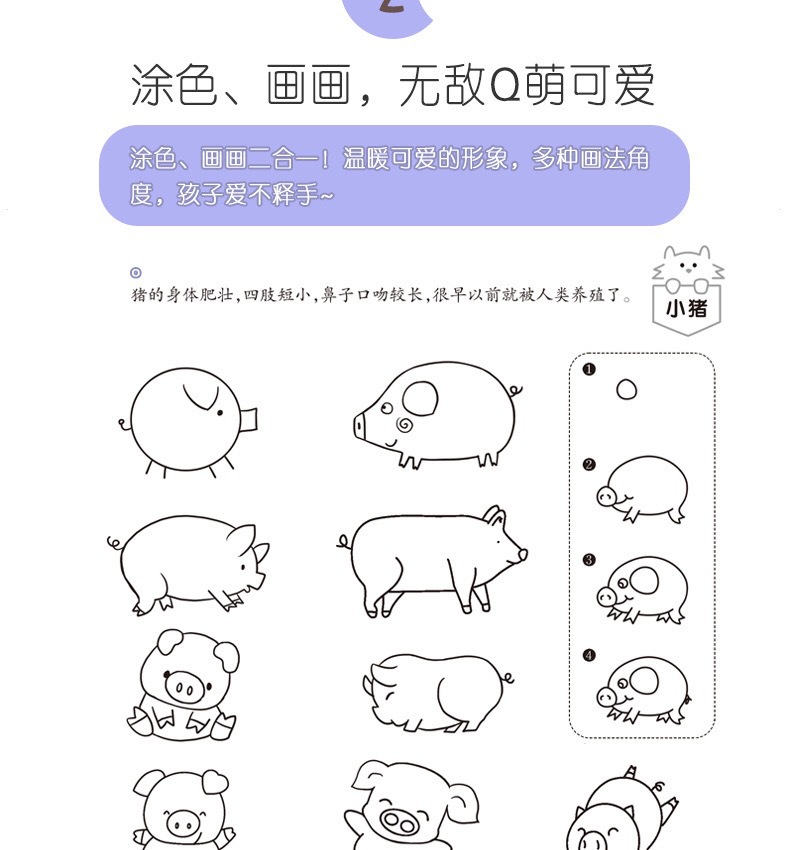 轻松煮出佳肴