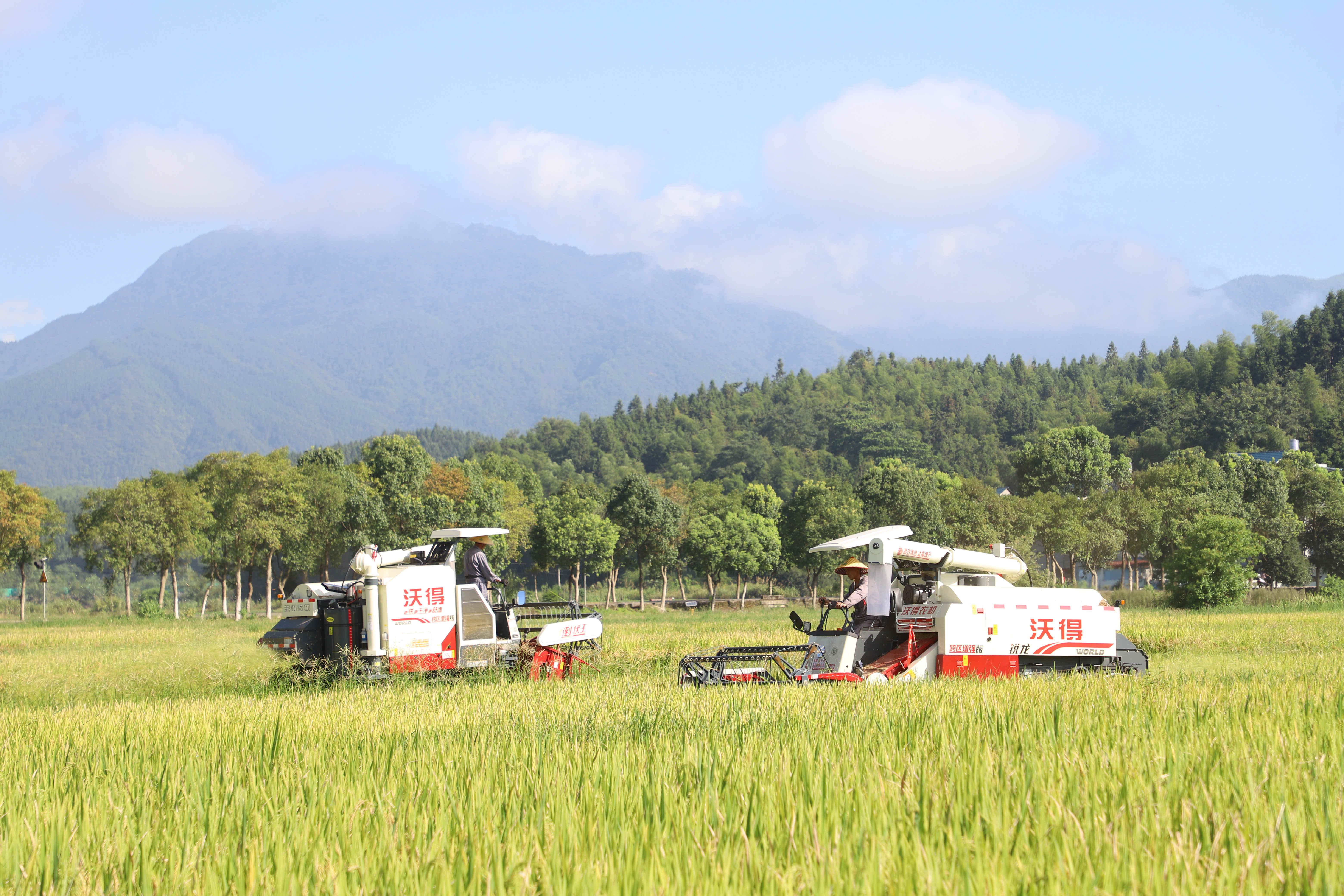 年内迄今已发生至少35起事故 2024年全球航空动荡 (年内迄今已发生的事情)