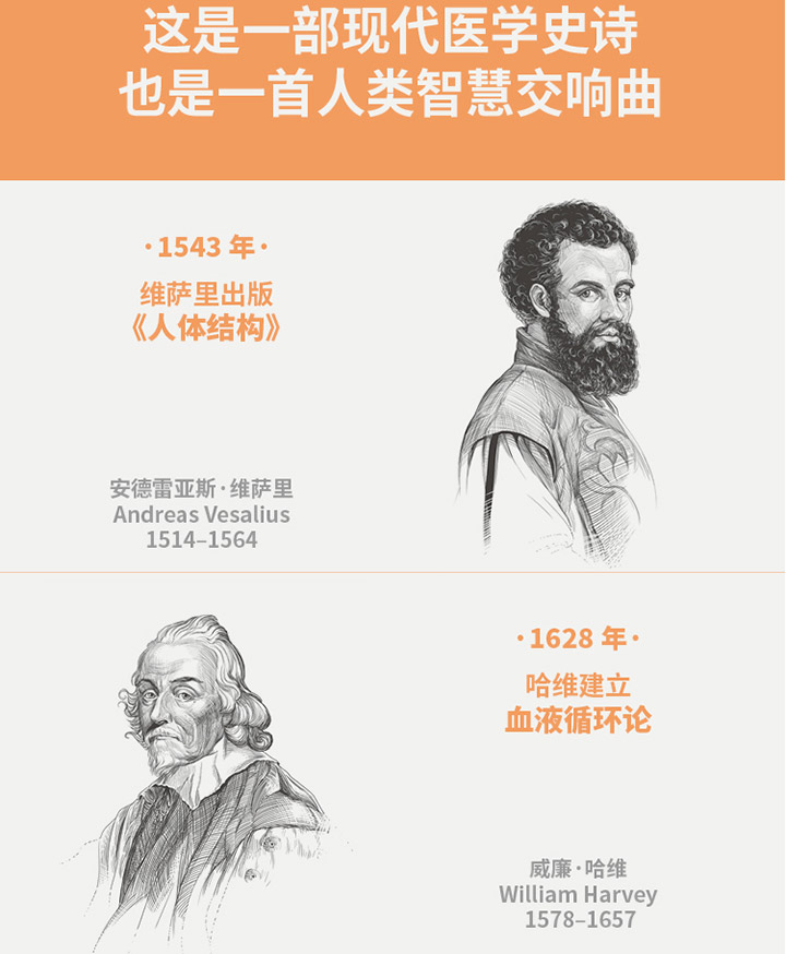 顺义