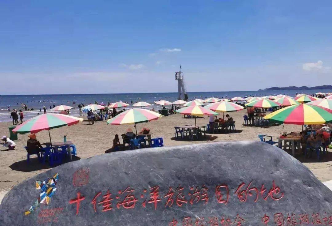 一圈一圈卷起来的茶