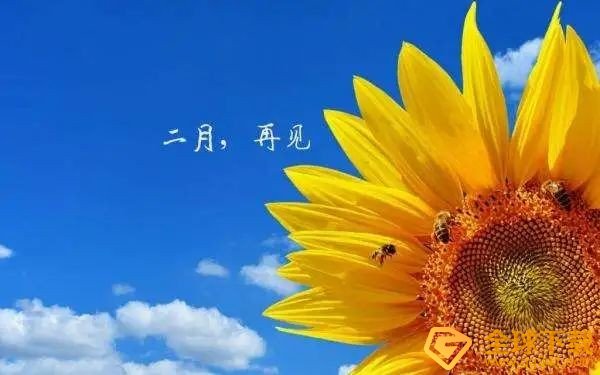 助攻
