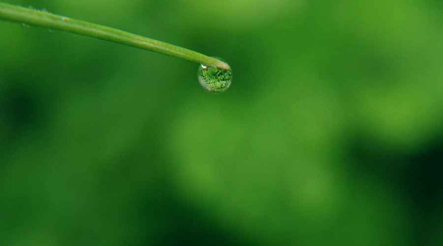 提升孩子抗挫力的宝贵建议 培养坚韧的玻璃心 (提升孩子抗挫折的能力感悟与思考)