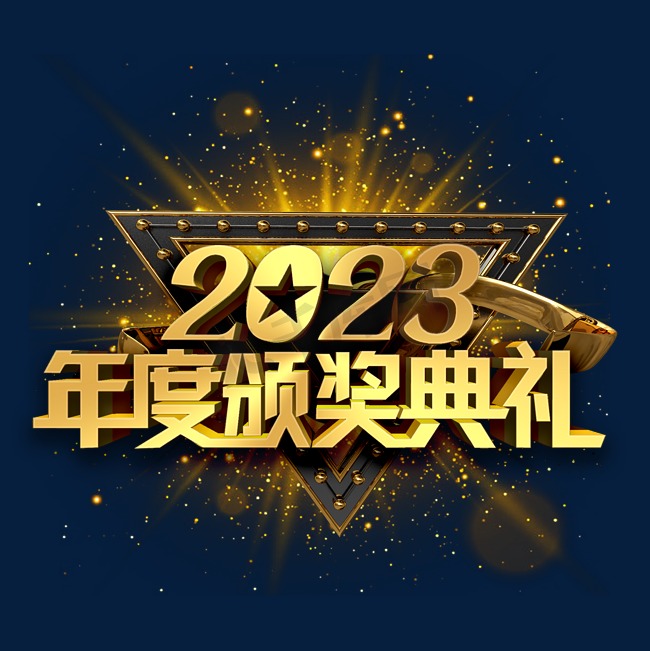 回顾过去一年的成就和经验教训