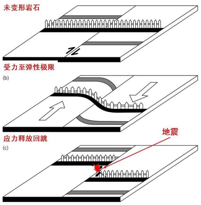 王雨纯
