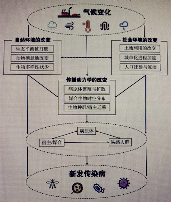疟原虫