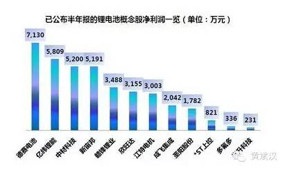 排放丑闻和软件问题