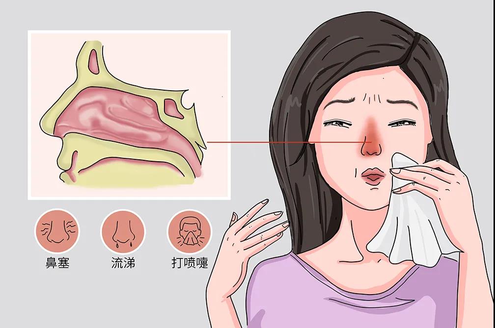 牙根