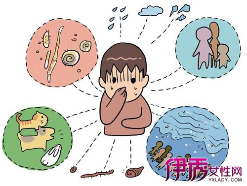 家探索蚊子作为抗疟的前景
