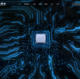 深圳率能半导体有限公司