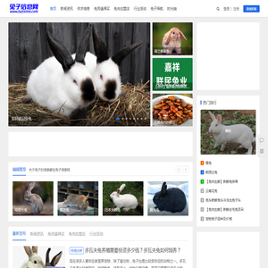 兔子信息网