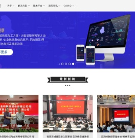 金和网络