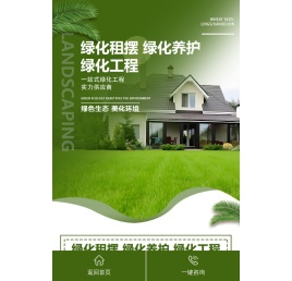上海绿植租赁