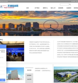 中外投资
