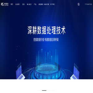 软件公司