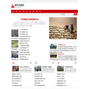 海内鼎沸网