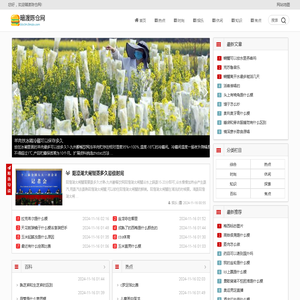 暗渡陈仓网