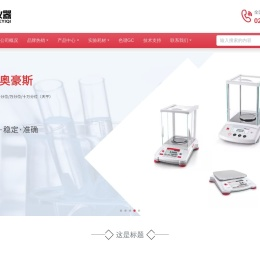 气相色谱仪厂家
