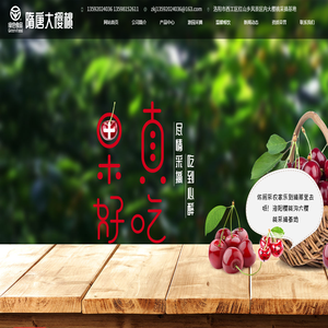 洛阳西工区大樱桃采摘基地