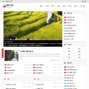 游移不定网