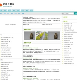 地北天南网