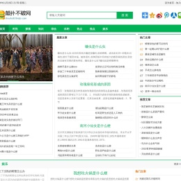 颠扑不破网