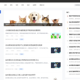 专栏