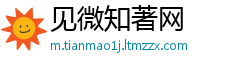 见微知著网