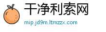 干净利索网