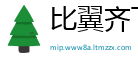 比翼齐飞网