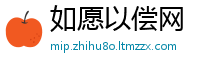 如愿以偿网