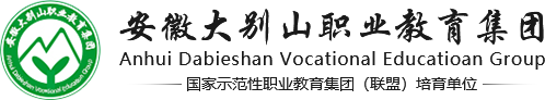 安徽大别山职业教育集团