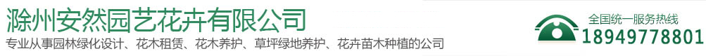 滁州安然园艺花卉有限公司