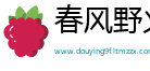 春风野火网